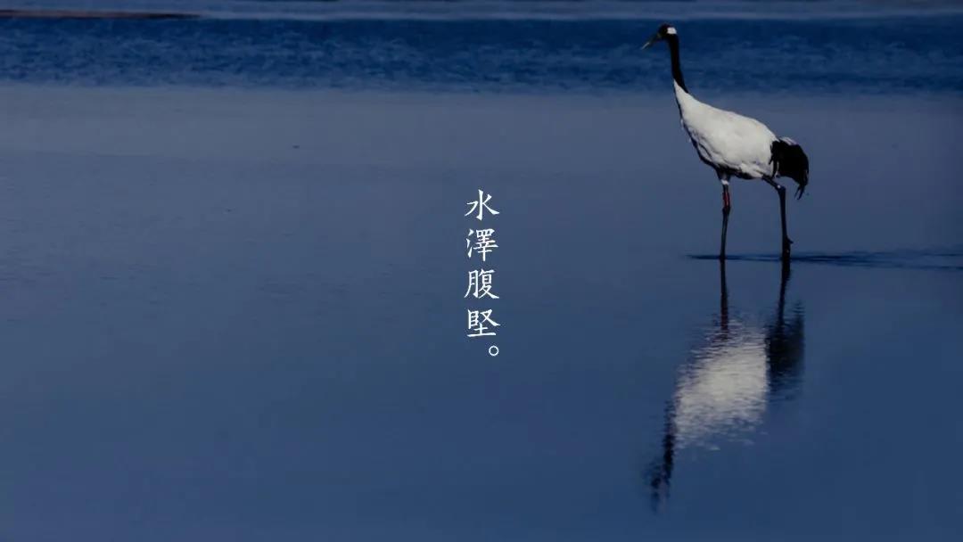 大寒×腊八，归家可期！