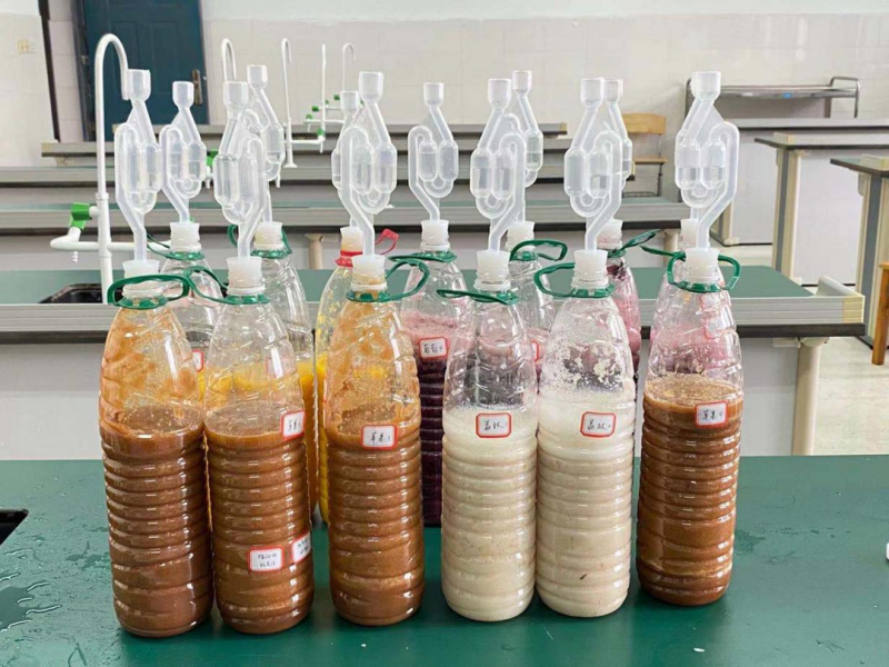 【食品安全宣传周】自制果酒甲醇超标？真相只有一个！