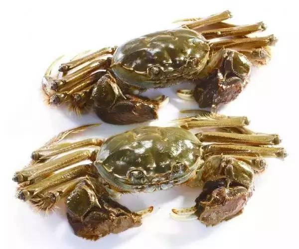 敖汉旗大闸蟹检测,大闸蟹常规检测,大闸蟹检测报告-【佳信检测】