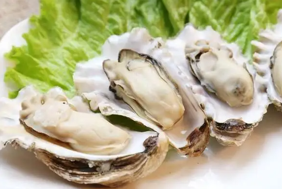 敖汉旗牡蛎检测